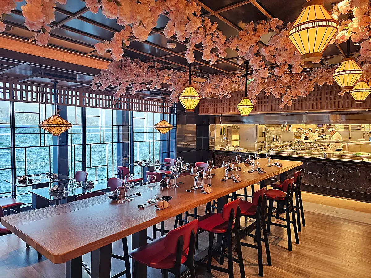 Explora II - Sakura