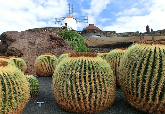 Lanzarote Lanzarote