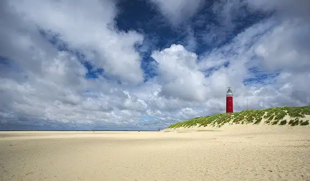 Texel 4 - Thumb
