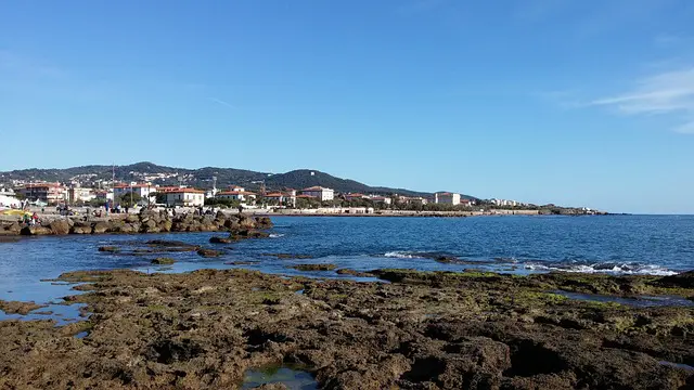 Livorno 4 - Thumb