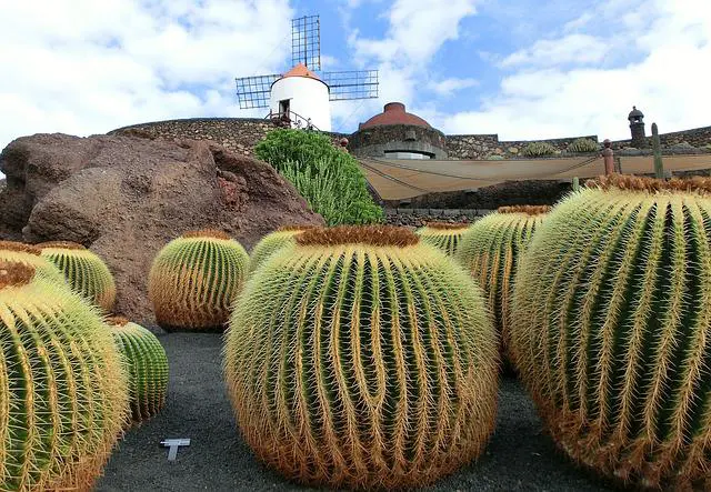 Lanzarote 6 - Thumb