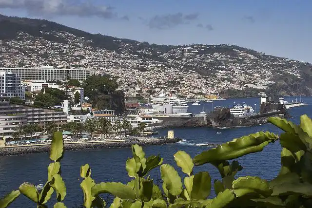 Funchal 1 - Thumb
