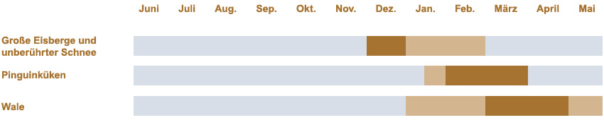 Besichtigungs Balken