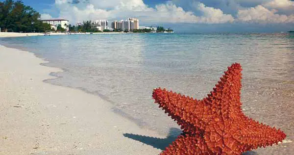 Bahamas - Bild 2